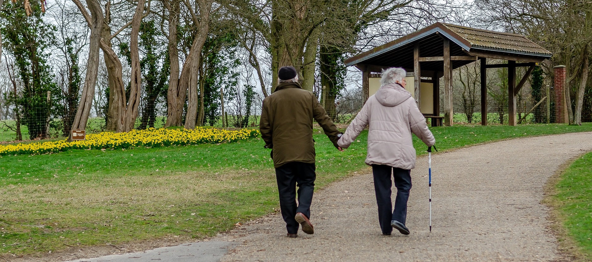 Uspešnost preventive srčne kapi